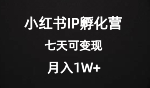 价值2000+的小红书IP孵化营项目，超级大蓝海，七天即可开始变现，稳定月入1W+|小鸡网赚博客