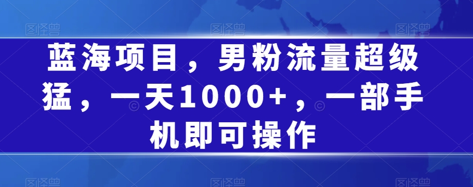 蓝海项目，男粉流量超级猛，一天1000+，一部手机即可操作【揭秘】|小鸡网赚博客