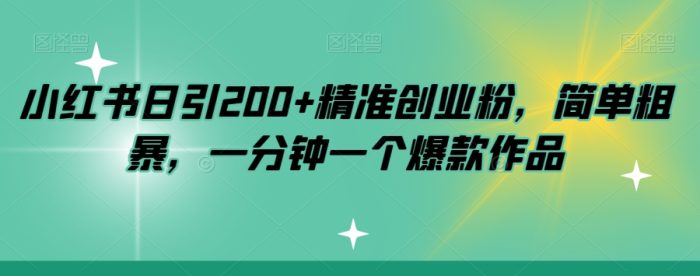 小红书日引200+精准创业粉,简单粗暴,一分钟一个爆款作品【揭秘】|小鸡网赚博客