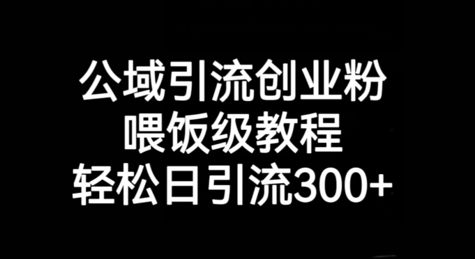 公域引流创业粉，喂饭级教程，轻松日引流300+【揭秘】|小鸡网赚博客