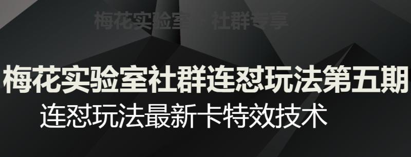 梅花实验室社群连怼玩法第五期，视频号连怼玩法最新卡特效技术|小鸡网赚博客