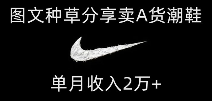 靠图文种草分享卖A货潮鞋,每天一小时,单月收入2万+【揭秘】|小鸡网赚博客