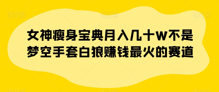 女神瘦身宝典月入几十W不是梦空手套白狼赚钱最火的赛道【揭秘】|小鸡网赚博客