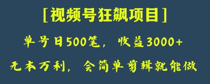 日收款500笔，纯利润3000+，视频号狂飙项目，会简单剪辑就能做【揭秘】|小鸡网赚博客