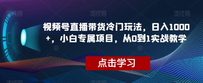 视频号直播带货冷门玩法，日入1000+，小白专属项目，从0到1实战教学【揭秘】|小鸡网赚博客