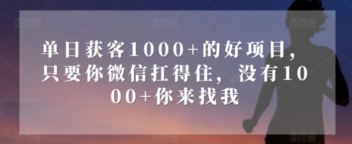 单日获客1000+的好项目，只要你微信扛得住，没有1000+你来找我【揭秘】|小鸡网赚博客