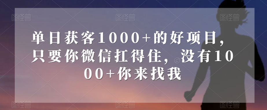 单日获客1000+的好项目，只要你微信扛得住，没有1000+你来找我【揭秘】|小鸡网赚博客