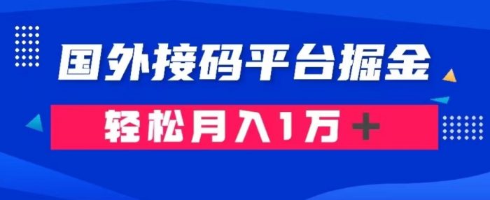 通过国外接码平台掘金：成本1.3，利润10＋，轻松月入1万＋【揭秘】|小鸡网赚博客