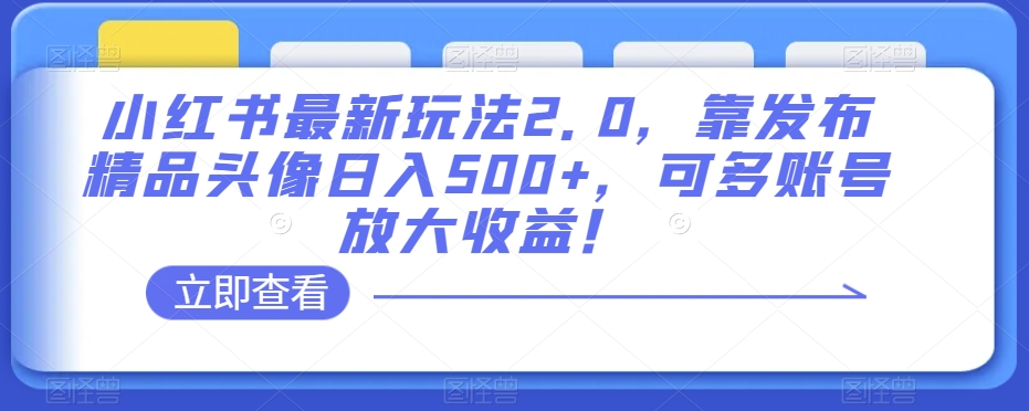 小红书最新玩法2.0，靠发布精品头像日入500+，可多账号放大收益！【揭秘】|小鸡网赚博客