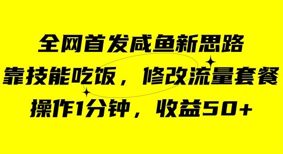 咸鱼冷门新玩法，靠“技能吃饭”，修改流量套餐，操作1分钟，收益50【揭秘】|小鸡网赚博客