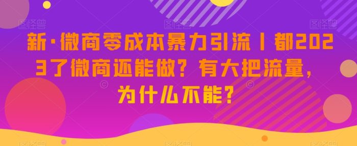 新·微商零成本暴力引流丨都2023了微商还能做?有大把流量,为什么不能?|小鸡网赚博客