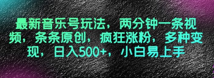 最新音乐号玩法，两分钟一条视频，条条原创，疯狂涨粉，多种变现，日入500+，小白易上手【揭秘】|小鸡网赚博客