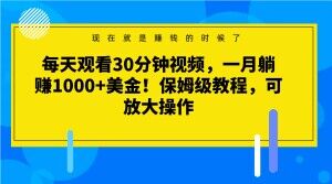 每天观看30分钟视频，一月躺赚1000+美金！保姆级教程，可放大操作【揭秘】|小鸡网赚博客