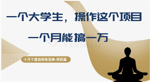 十万个富翁修炼宝典之4.一个大学生操作这个项目，一个月能搞一万|小鸡网赚博客