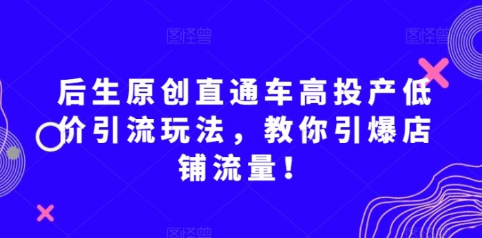 后生原创直通车高投产低价引流玩法,教你引爆店铺流量!|小鸡网赚博客