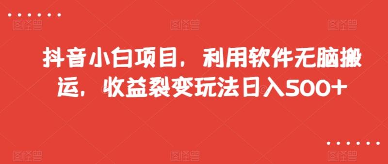 抖音小白项目，利用软件无脑搬运，收益裂变玩法日入500+【揭秘】|小鸡网赚博客