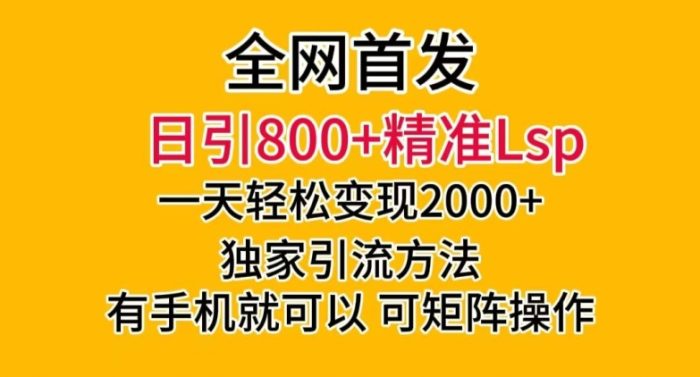 全网首发！日引800+精准老S批，一天变现2000+，独家引流方法，可矩阵操作【揭秘】|小鸡网赚博客