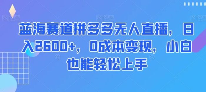 蓝海赛道拼多多无人直播，日入2600+，0成本变现，小白也能轻松上手【揭秘】|小鸡网赚博客
