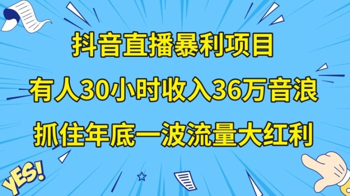 抖音直播暴利项目，有人30小时收入36万音浪，公司宣传片年会视频制作，抓住年底一波流量大红利【揭秘】|小鸡网赚博客