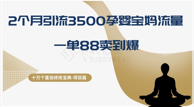 十万个富翁修炼宝典之13.2个月引流3500孕婴宝妈流量，一单88卖到爆|小鸡网赚博客