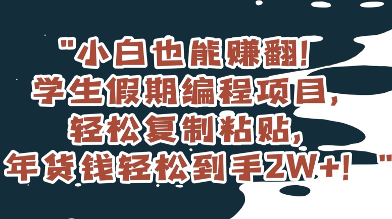 小白也能赚翻！学生假期编程项目，轻松复制粘贴，年货钱轻松到手2W+【揭秘】|小鸡网赚博客