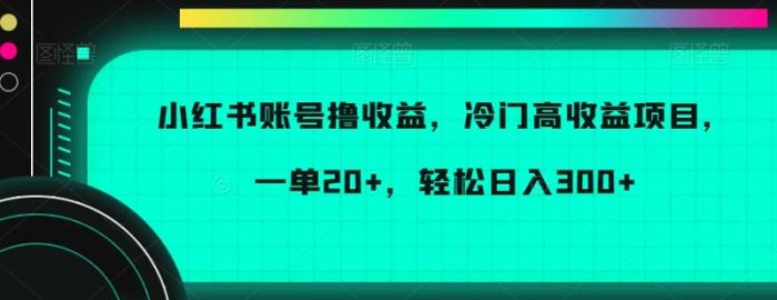 小红书账号撸收益，冷门高收益项目，一单20+，轻松日入300+【揭秘】|小鸡网赚博客