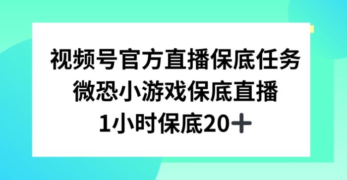 视频号直播任务，微恐小游戏，1小时20+【揭秘】|小鸡网赚博客