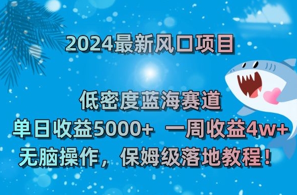 2024最新风口项目，低密度蓝海赛道，单日收益5000+，一周收益4w+！【揭秘】|小鸡网赚博客