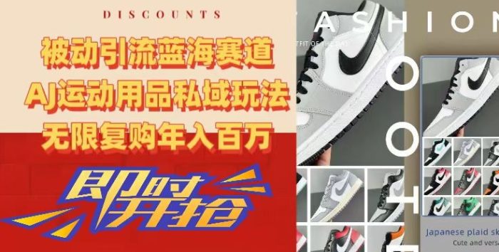 被动引流蓝海赛道，AJ运动用品私域玩法，无限复购年入百万【揭秘】|小鸡网赚博客