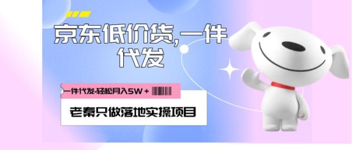 老秦轻创系列课程54：每天20分钟打理京东低价货，一件代发-轻松月入5W＋|小鸡网赚博客