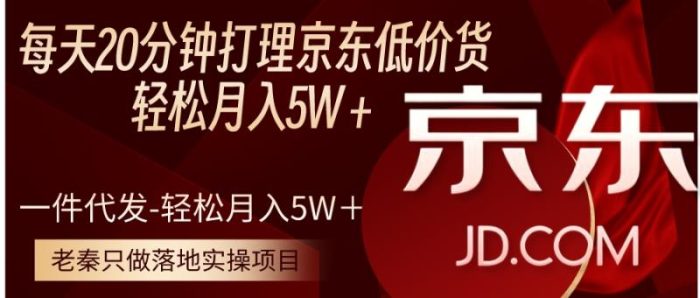 老秦轻创系列课程66:每天20分钟打理京东低价货,一件代发-轻松月入5W+|小鸡网赚博客