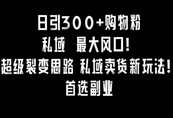 日引300+购物粉，超级裂变思路，私域卖货新玩法，小红书首选副业【揭秘】|小鸡网赚博客