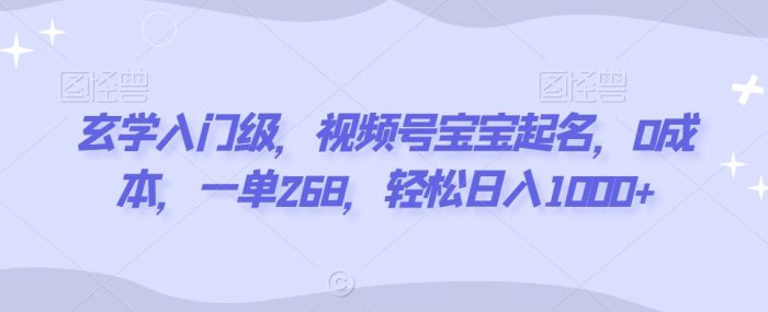 玄学入门级,视频号宝宝起名,0成本,一单268,轻松日入1000+【揭秘】|小鸡网赚博客