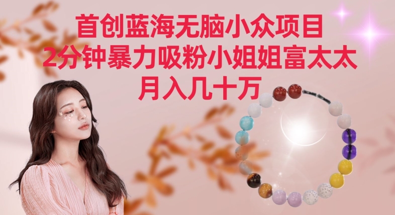 首创蓝海无脑小众项目，2分钟暴力吸粉小姐姐富太太，月入几十万【揭秘】|小鸡网赚博客