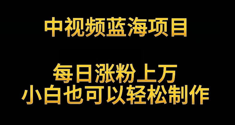 中视频蓝海项目，解读英雄人物生平，每日涨粉上万，小白也可以轻松制作，月入过万不是梦【揭秘】|小鸡网赚博客
