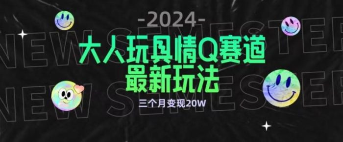 全新大人玩具情Q赛道合规新玩法，公转私域不封号流量多渠道变现，三个月变现20W【揭秘】|小鸡网赚博客