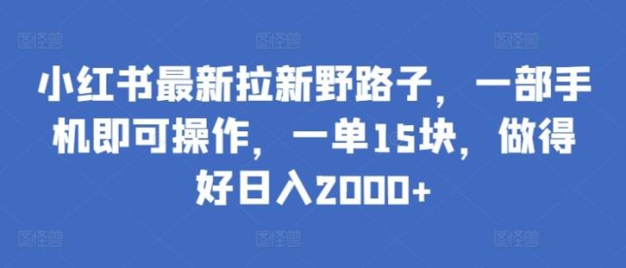 小红书最新拉新野路子，一部手机即可操作，一单15块，做得好日入2000+【揭秘】|小鸡网赚博客