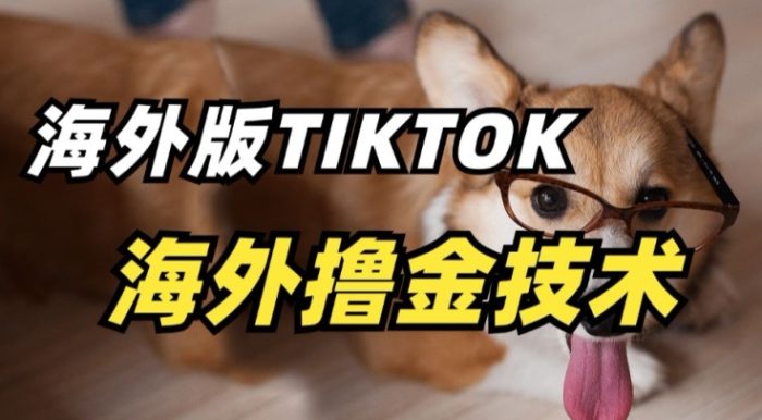 抖音海外版tiktok撸金技术，这个风口行业，赚钱真的不难【揭秘】|小鸡网赚博客