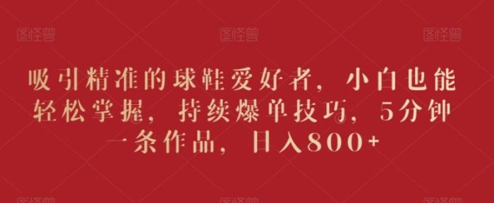 吸引精准的球鞋爱好者，小白也能轻松掌握，持续爆单技巧，5分钟一条作品，日入800+【揭秘】|小鸡网赚博客