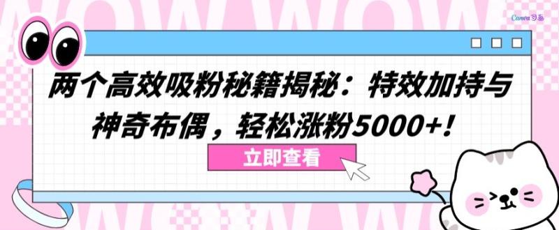 两个高效吸粉秘籍揭秘：特效加持与神奇布偶，轻松涨粉5000+【揭秘】|小鸡网赚博客