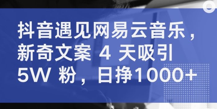 抖音遇见网易云音乐，新奇文案 4 天吸引 5W 粉，日挣1000+【揭秘】|小鸡网赚博客