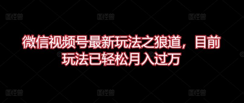 微信视频号最新玩法之狼道，目前玩法已轻松月入过万【揭秘】|小鸡网赚博客