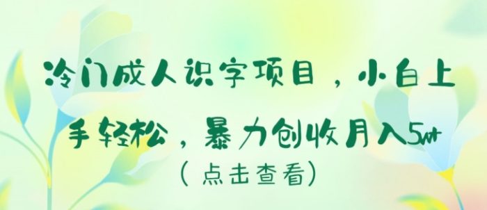 冷门成人识字项目，小白上手轻松，暴力创收月入5w+【揭秘】|小鸡网赚博客