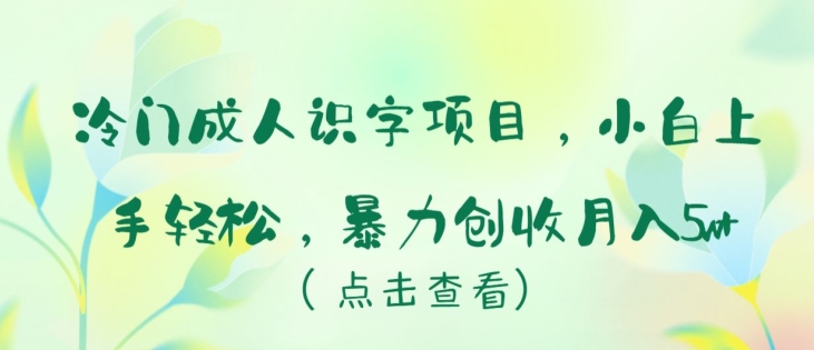 冷门成人识字项目，小白上手轻松，暴力创收月入5w+【揭秘】|小鸡网赚博客
