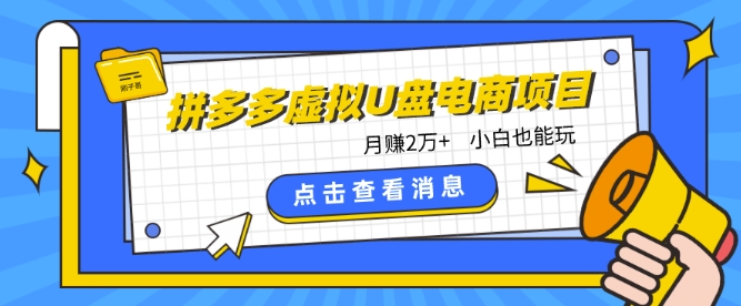 拼多多虚拟U盘电商红利项目：月赚2万+，新手小白也能玩|小鸡网赚博客