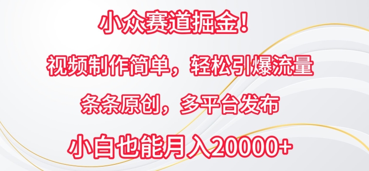 小众赛道掘金，视频制作简单，轻松引爆流量，条条原创，多平台发布【揭秘】|小鸡网赚博客