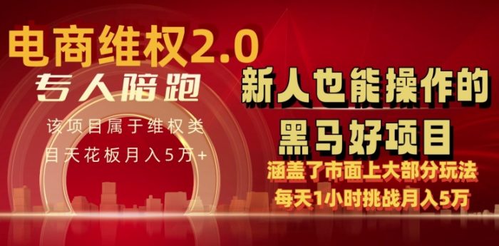 电商维权 4.0 如何做到月入 5 万+每天 1 小时新人也能快速上手【仅揭秘】|小鸡网赚博客
