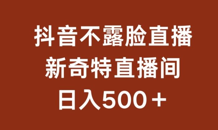 不露脸挂机直播，新奇特直播间，日入500+【揭秘】|小鸡网赚博客