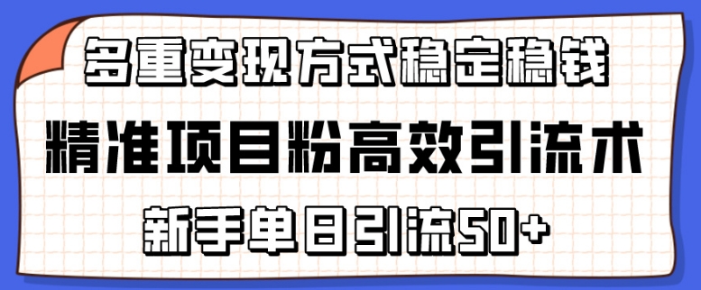 精准项目粉高效引流术，新手单日引流50+，多重变现方式稳定赚钱【揭秘】|小鸡网赚博客