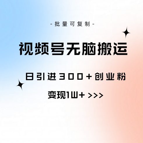 （10612期）视频号无脑搬运日引300+创业粉，变现1W+可批量复制|小鸡网赚博客